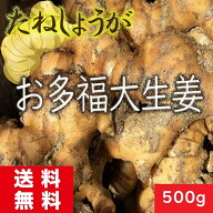 種生姜 500g 送料無料 【お多福しょうが】熊本県産 生姜 香味野菜 たね生姜 残りわずか タネしょうが プ…