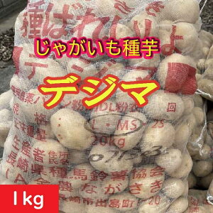 ႪyzfW}1kg 茧Y@_ȓo^i@WKC@͔|@̔ʔ́@n鏒̎@΂ꂢ匟ii@wcii@HႪAt