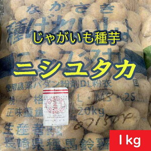ႪyzjV^J1kg @茧Y@_ȓo^i@WKC@͔|@̔ʔ́@n鏒̂ˁ@΂ꂢ匟ii@wcii@ɂ䂽@HႪ