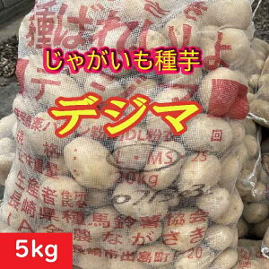 ႪyzfW} 5kg 茧Y _ȓo^i WKC ͔| ˂ʔ n鏒̎ ΂ꂢ匟ii wcii ł܁@HႪAt