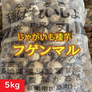 ႪyztQ} 5kg @茧Y@_ȓo^i@WKC@͔|@̔ʔ́@n鏒̎@΂ꂢ匟ii@wcii@ ӂ܂@H