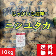 じゃがいも【種芋】ニシユタカ 10kg 　長崎県産　農水省登録品種　ジャガイモ種芋　栽培　販売通販　馬鈴…