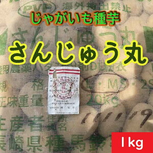 Ⴊyz񂶂イ 1kg 茧Y _ȓo^i WKC Ⴊ͔| n鏒̎@ii wcii TWE}@HႪAt