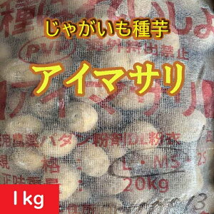 ႪyzAC}T 1kg _ȓo^i WKC ̔ʔ n鏒̎ ݌Ɍ 茧Y ΂ꂢ匟ii@HႪAt@aCɋ