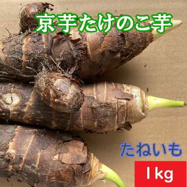 楽天市場】赤芽大吉 【種芋】 送料無料 500g セレベス 栽培 宮崎県産 