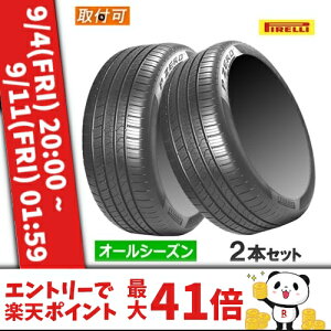 �y6/10(��)����I�|�C���g�ő�39�{�I�z(���X�X���I)315/30R22 107W XL (B) PNCS PIRELLI �s���� P ZERO ALL SEASON P�[�� �I�[���V�[�Y�� 22�C���` �V�i2�{�Z�b�g �I�[���V�[�Y���^�C�� �x���g���[���F ���K�i 