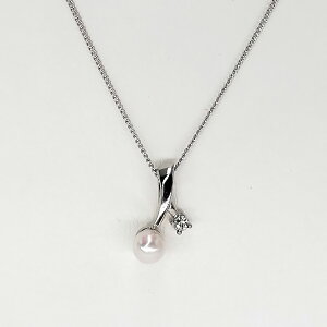  xr[p[ y_g v[g  lbNX AR {^ ^ p[ v[g Mtg NX}X a LO ̓  fB[X