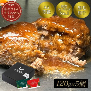 【冬ギフト】佐賀・国産黒毛和牛 伊萬里牛(伊万里牛)ハンバーグ 120g×5個(ソース1本付き)|ギフト 和牛 佐賀・国産黒毛和牛 伊萬里牛(伊万里牛) 伊万里牛 佐賀牛 牛肉 黒毛和牛 誕生日 内祝
