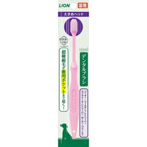 PETKISSf^uV傫߃wbh  Ck  uV nuV  