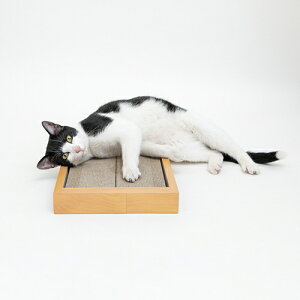 HappyDays S~oɂ߂Ƃ_u ybgv nbs[fCY L lR _{[ ܂Ƃ ߂Ƃ ܖ ߂݂