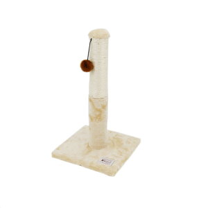 ˂ ˂D܂Ƃ Lbg^[ |[ L lR  ܂Ƃ ߂Ƃ ܂݂ ߂݂ ^[
