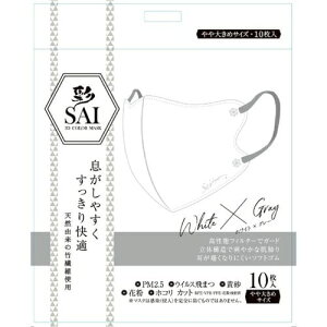  SAI ̃}XN 10 zCg×O[ 傫mask }XN