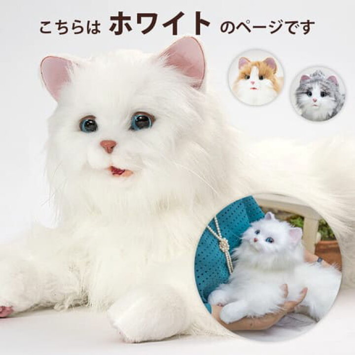楽天市場】しっぽふりふり あまえんぼうねこちゃん ホワイトリアル 猫 