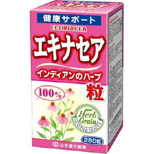 �R�{�������� �G�L�i�Z�A��100�� 280�����}���g�J���|�E ���N�H�i