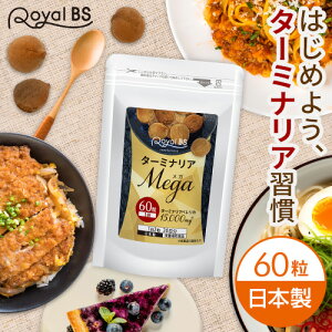 ^[~iAMEGA 60^[~iAxJ ^[~iAxJ Tvg _CGbg̉h{⋋ vHq_ |tFm[ Y  CɂȂ  RoyalBS {