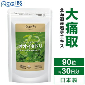 オオイタドリ 90粒サプリ サプリメント 大痛取 大虎杖 イタドリ ポリフェノール 緑イ貝 ミドリイガイ 健康 運動 毎日をサポート 大容量 健康 美容 RoyalBS 日本製