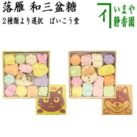 楽天市場】【急須 ティーポット】 紅茶用ティ-ポット 紫三島 