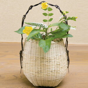 【茶器/茶道具 竹籠花入(竹篭花入) 置用】 江ノ島 さざえ籠 惺斎好写し