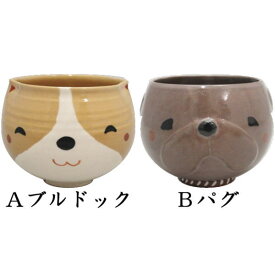 楽天市場 抹茶茶碗 犬の通販