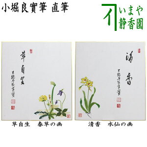 ◎【茶器/茶道具 色紙画賛】 直筆 草自生 春草の画又は清香 水仙の画 小堀良實筆 円香画
