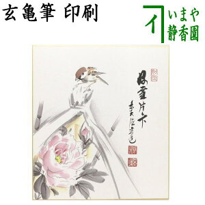 y/@F^z@@DЁX@TM@ւ̉