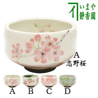 【茶器/茶道具　抹茶茶碗】　小茶碗（一服碗）　志野桜赤又は織部春秋又は志野赤花又は青楓（）　豊窯