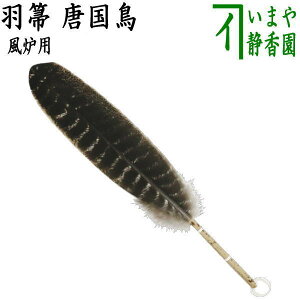 �y����/������@�Y����z�@�Hⴁ@�������@���F�p