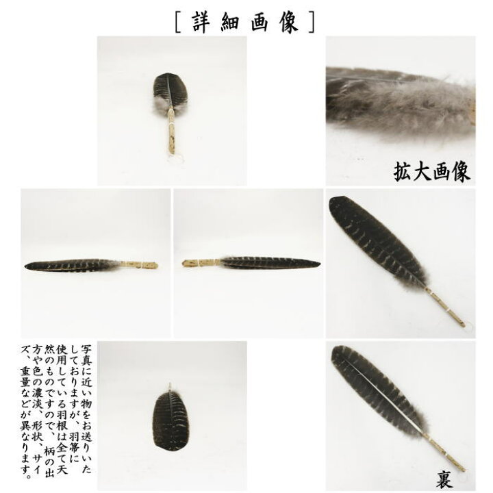 楽天市場】【茶器/茶道具 炭道具】 羽箒 唐国鳥 風炉用 : いまや茶の湯 