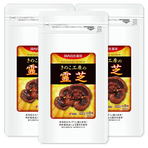 y3܃ZbgzŷH[̗Łz@Ѝ͔|́uŁvupŁvgpB@60.2gi251mg×240jX 3܁@90