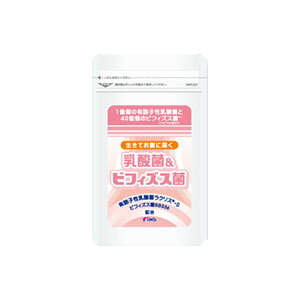 _ہ@rtBYXہ@Tvg@u_ہrtBYXہv@NX-S@BB536