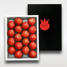 Lisa フルーツトマト 高知県産 トマト