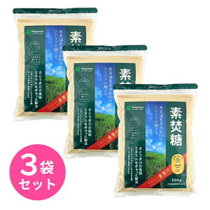 f 500g 3܃Zbg Ƃ 哌 Y  islX TgELr Ƃ  Ƃ VK[ ₳Â َq 