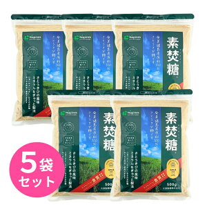 f 500g 5܃Zbg Ƃ 哌 Y  islX TgELr Ƃ  Ƃ VK[ ₳Â َq 