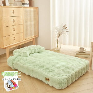 L ybgxbh ybg}bg }bg ѕzt  ~p}bg 􂦂 ې 傫  L~p}bg ˂pi Lpi ӂӂ  ybgNbV  L ybg }bg 