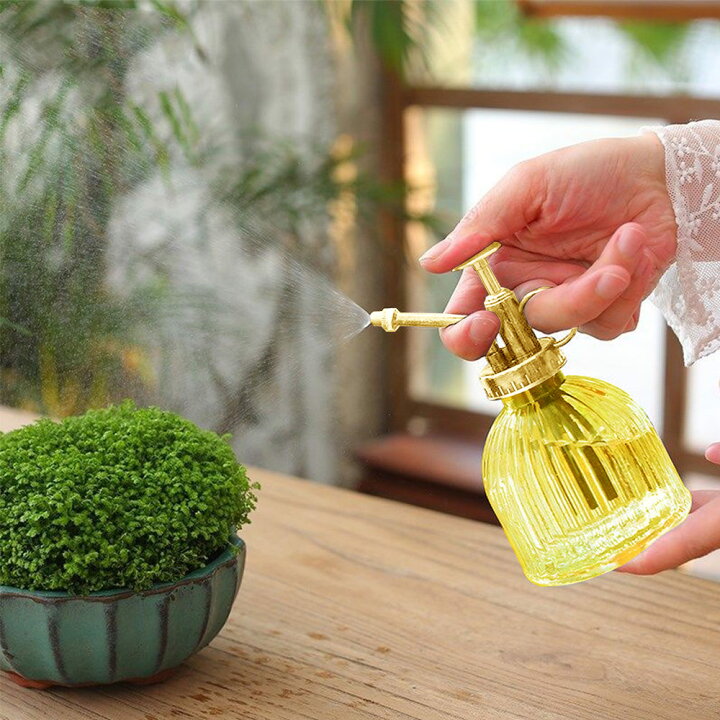 楽天市場】【6%OFFクーポン】 観葉植物 霧吹き おしゃれ スプレー 