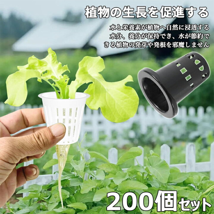 楽天市場】水耕栽培ポット 25号 高35 黒 半透明 水耕栽培鉢 水耕栽培 