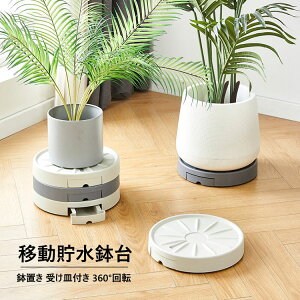 Aؔ tړԑ  u t[X^h u LX^[ v^[pM g[ v[g 360°]LX^[t  |bN ړ֗ ϗtA  