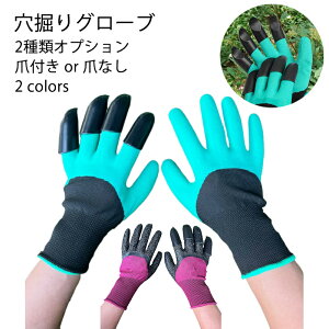 EZbg  K[fO[u @O[u ܕt or ܂Ȃ  K[f O[u h ~ K[fO[u K[fjO | K[fjOO[u  