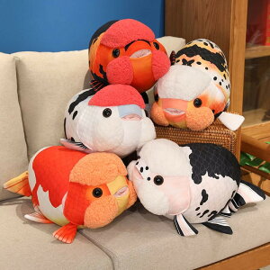 2025Vy6%OFFN[|zS5F ь ʂ  50cm 񂿂  ʂ   a  `E ̂܂ YQ  _炩 킢 { O