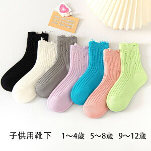 qpC _Xpi C 3Zbg `4 5`8 9`12 t H ~  ̎q j̎q n C qp C ubN zCg O[ p[v u[ sN O[ C ^ 