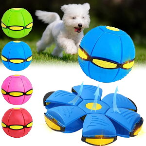  {[  tXr[ ό`{[ ԉ~Ճ{[ tCOfBXN{[ 2Zbg ybg ߋ ό`{[ tXr[  ^s ϊ e͐ VRS N