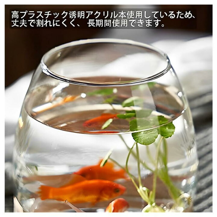 楽天市場】金魚鉢 ガラス製 天然木 丸型 水槽 丸型金魚鉢 水槽 