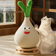 キャットタワー サイザルニンニクの芽 据え置き 省スペース 高さ60cm 65cm 猫タワー 爪とぎ 運動不足 ス…
