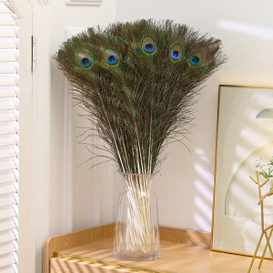 H E 10{ p  25-30cm tFU[ p[c | ANZT[ H H ANZT Ntg EFfBOu[P t[AWg Ĥ鐶