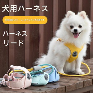 犬 ハーネス リード セット 抜けない 脱げない 小型犬 中型犬 大型犬 超小型犬 子犬 メッシュ おしゃれ 柴犬 軽い 犬用 胴輪 散歩 フィット お洒落 はーねす おでかけ 子犬 超小型犬 子ネコ 成
