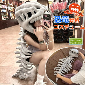 y6%OFFN[|zAXPgRX`[Zbg |}XNtnEBߑ WvX[c ql X^[ O J[jo a }XJ[h 115cm 75cm