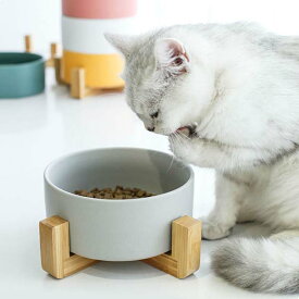猫 食器台 400ML 850ML 1800ML フードボウル 食器 猫用 犬用 小型犬 食器台 陶器 餌皿 エサ皿 えさ皿 食べやすい 皿 お皿 ペット用 高さがある ペット食器 水飲み ボウル 水入れ 餌入れ ご飯皿 水分補給 ネコ おしゃれ 可愛い キャットフード入れ 雑貨 負担軽減 送料無料