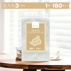 yVX[p[SALEΏۏiy͊ہiۍ܃^CvjF13z