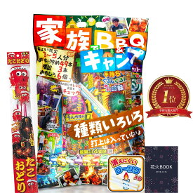 花火 セット 手持ち花火 線香花火 噴出花火 おもしろ花火 点火用品まで入ったフルセット はなび BBQ たこおどりベーシックセット
