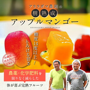 �y�A�����K�}�_���z���n���A�b�v���}���S�[ ����Y ���n�}���S�[ �Z���ȊÂ� �Ƃ낯��ʓ� �썑�t���[�c �����p �M�t�g ������